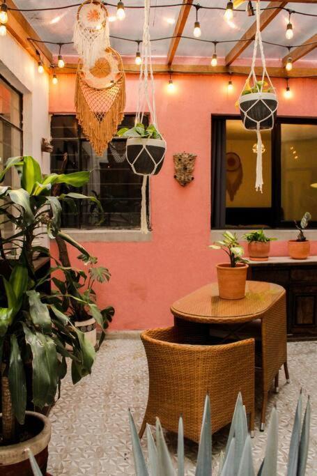 מקסיקו סיטי New Mex Inspired Bo-Ho Chic Apartment With Private Patio And Roof Terrace מראה חיצוני תמונה